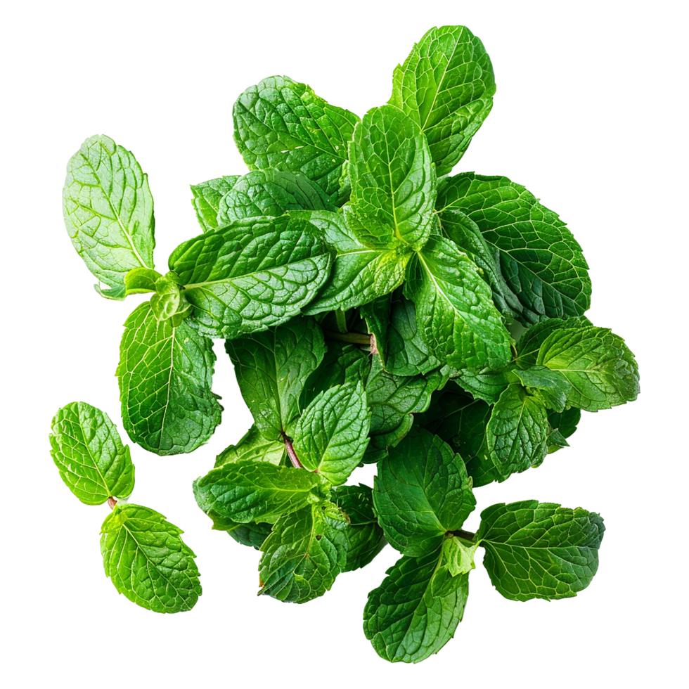 AI generated Top viwe peppermint isolate on transparent background png