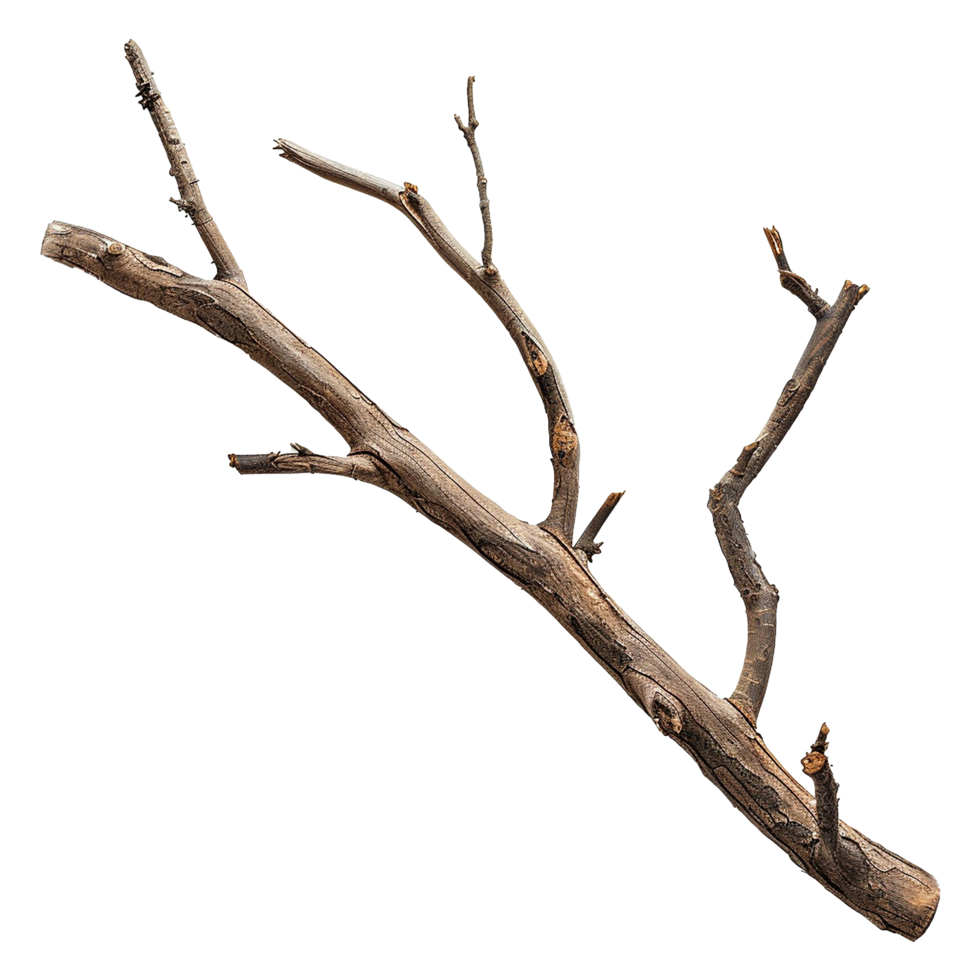 AI generated Wooden branch isolated on transparent background png