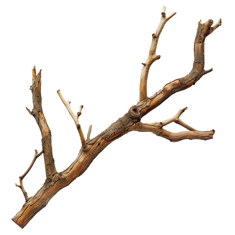 AI generated Wooden branch isolated on transparent background png
