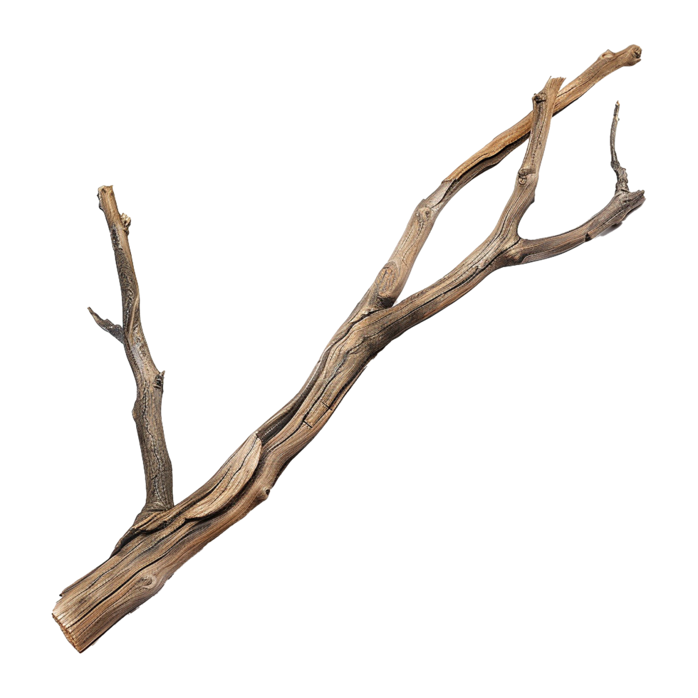 AI generated Wooden branch isolated on transparent background png