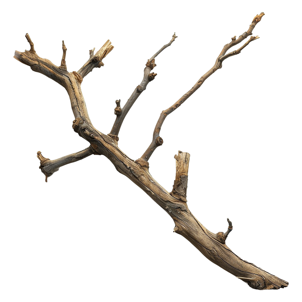 AI generated Wooden branch isolated on transparent background png