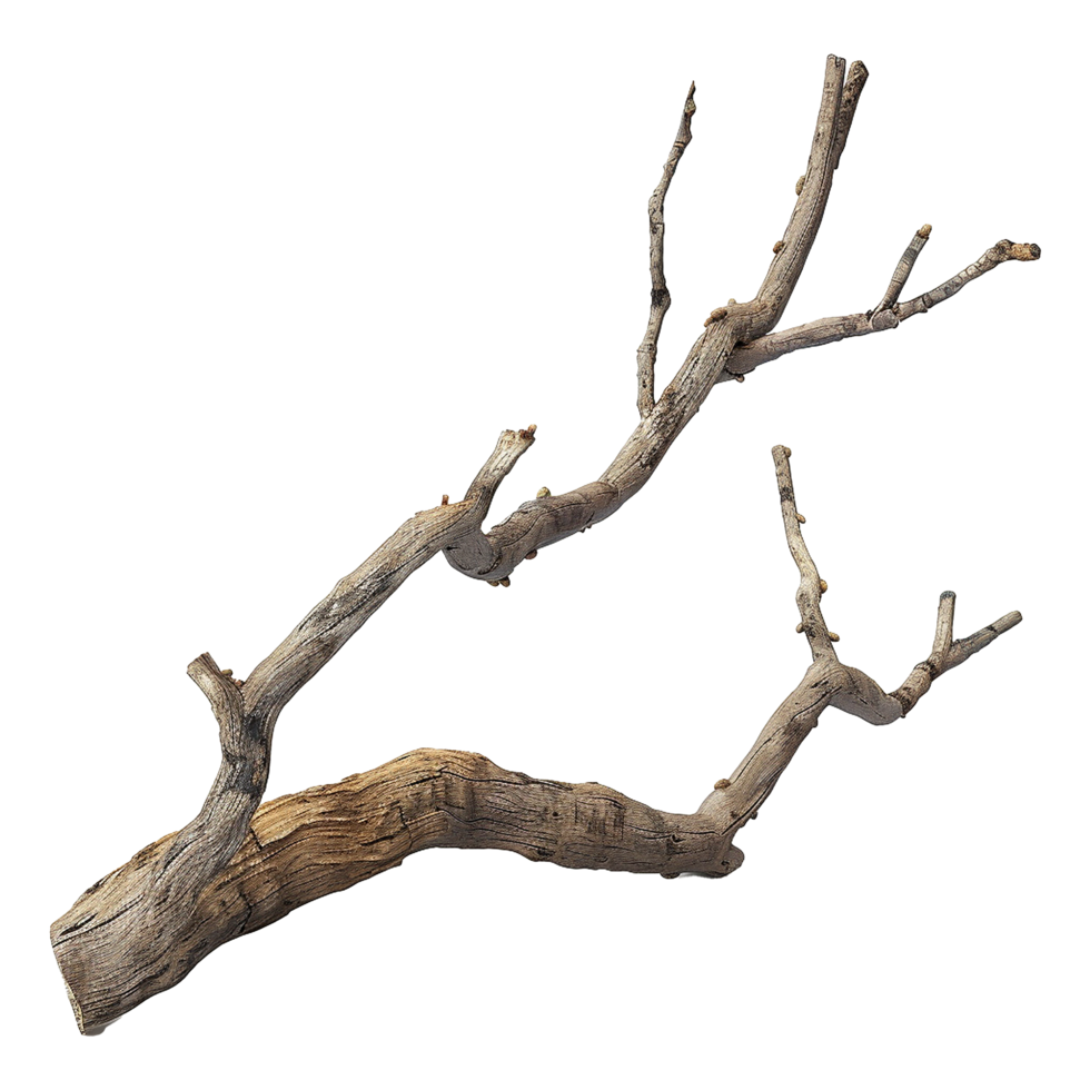 AI generated Wooden branch isolated on transparent background png