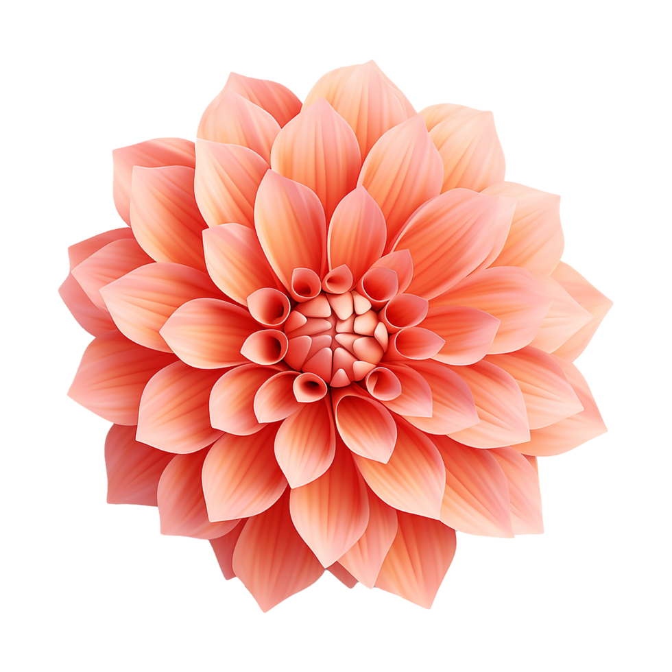 AI generated 3d style colorful flower isolated on transparent background png