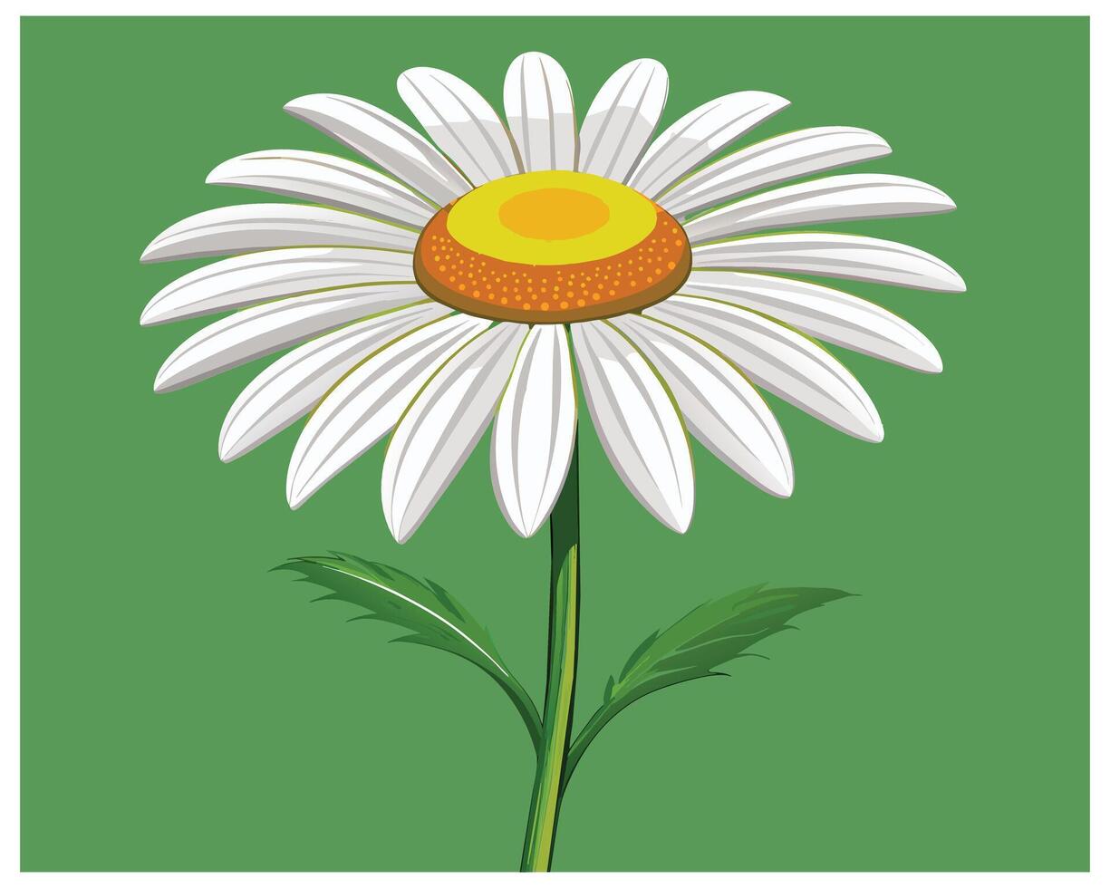 Cartoon Daisy Flower Vector Design On White Background illustration