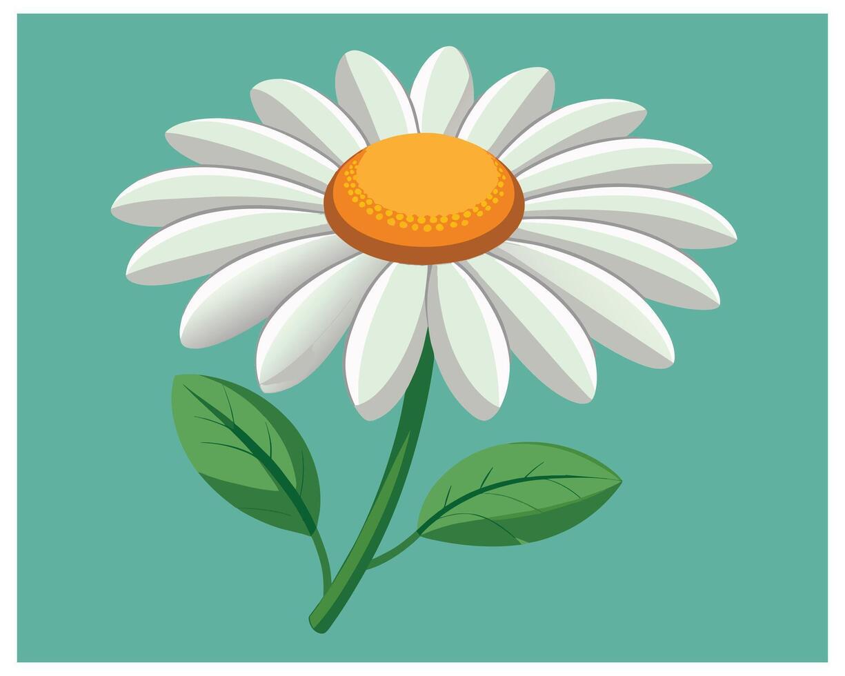 Cartoon Daisy Flower Vector Design On White Background illustration