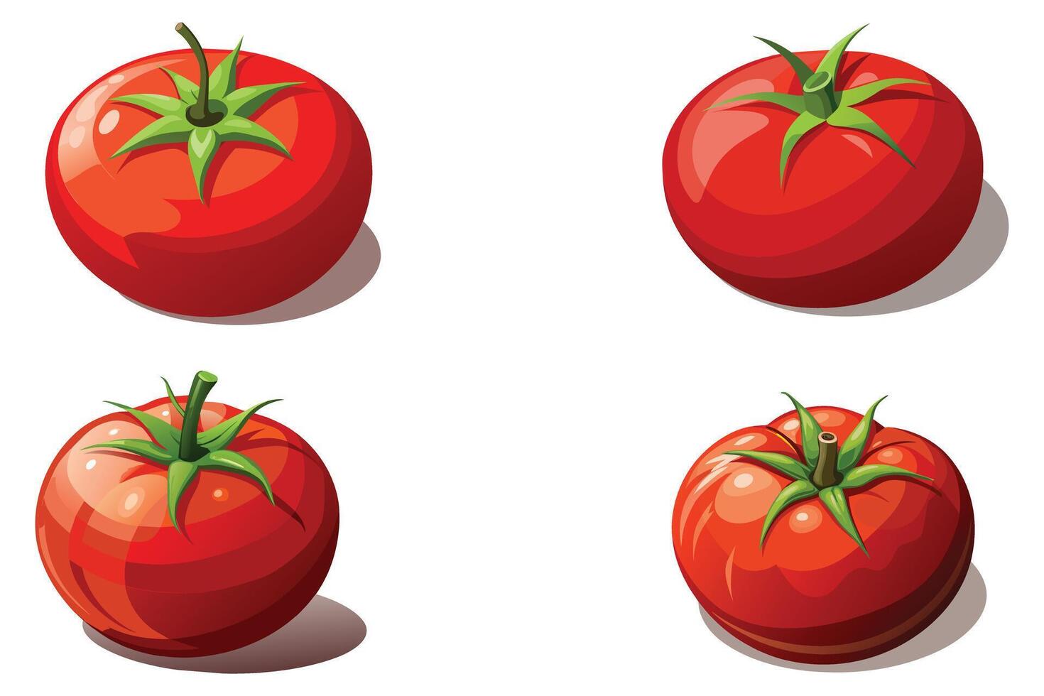 rojo Tomates conjunto vector diseño ilustración