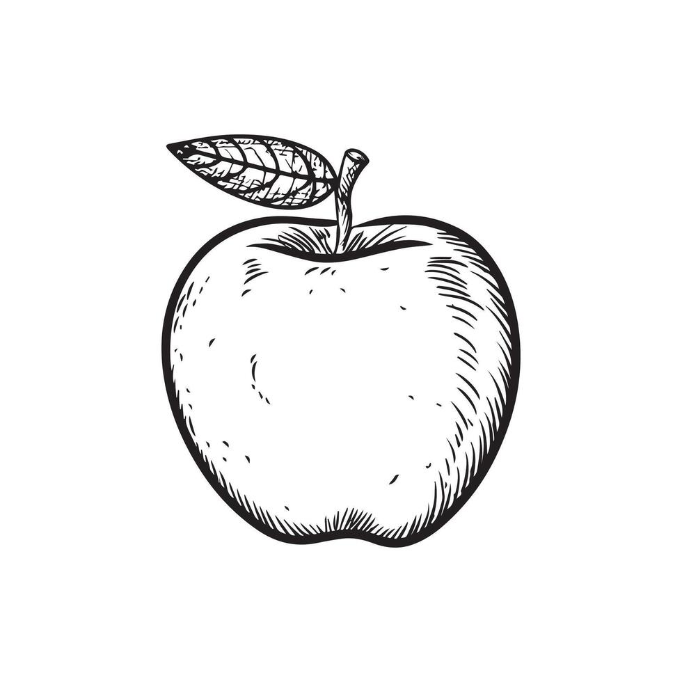 a black and white drawing of an apple vector