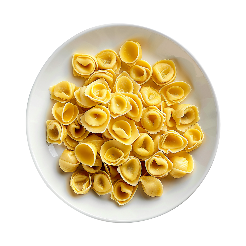 AI generated Italian stuffed pasta isolated on transparent background png