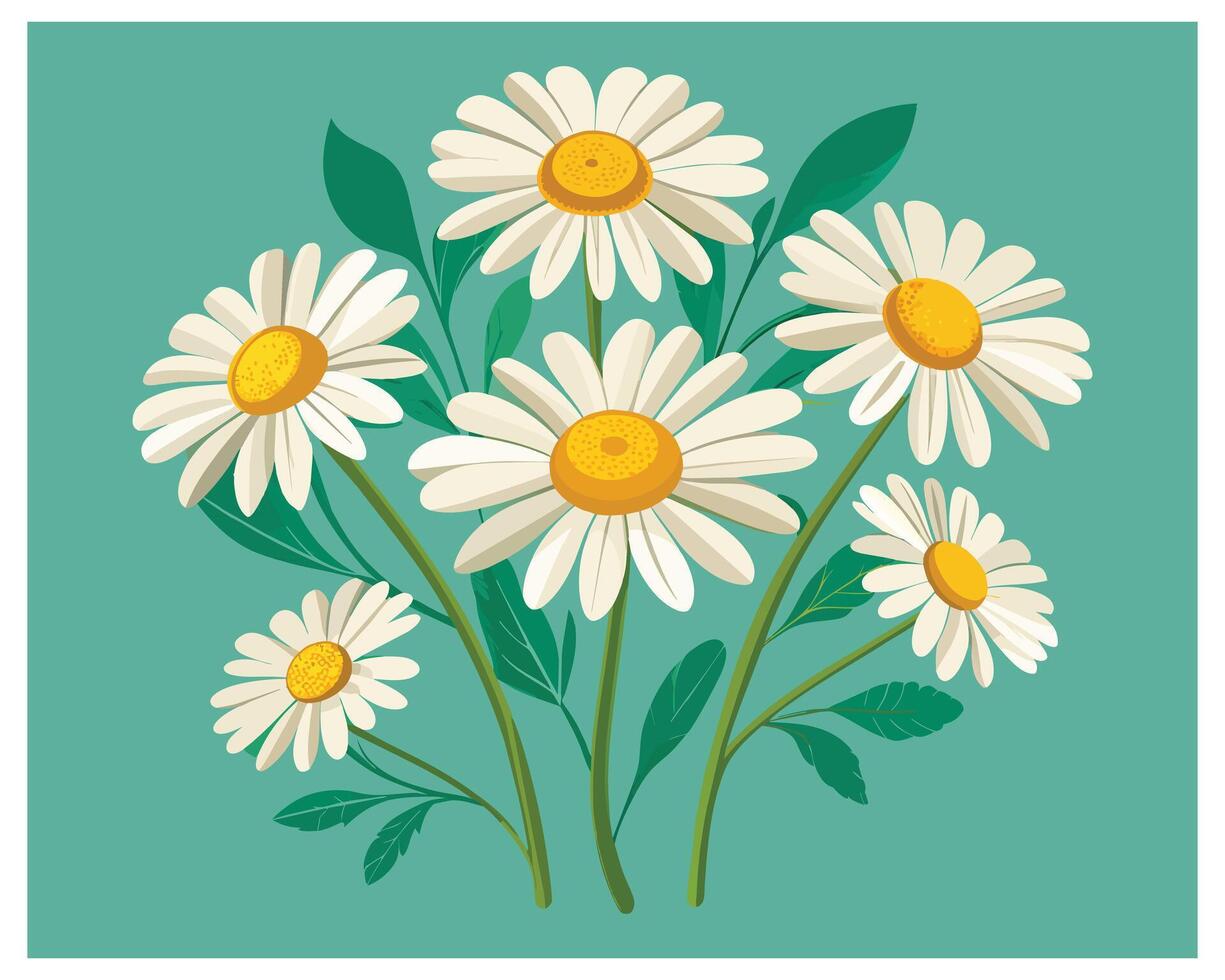 Cartoon Daisy Flower Vector Design On White Background illustration