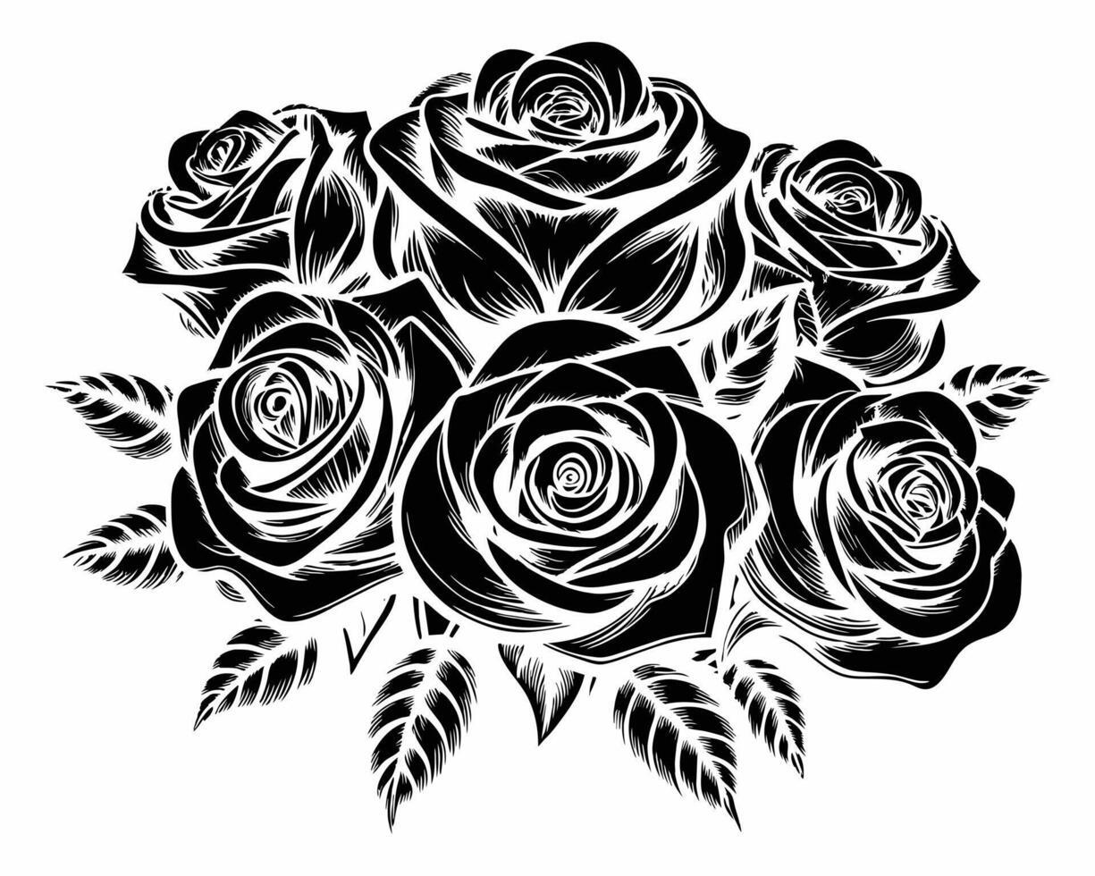 Beautiful Roses Flower Vector Design On White Background illustration