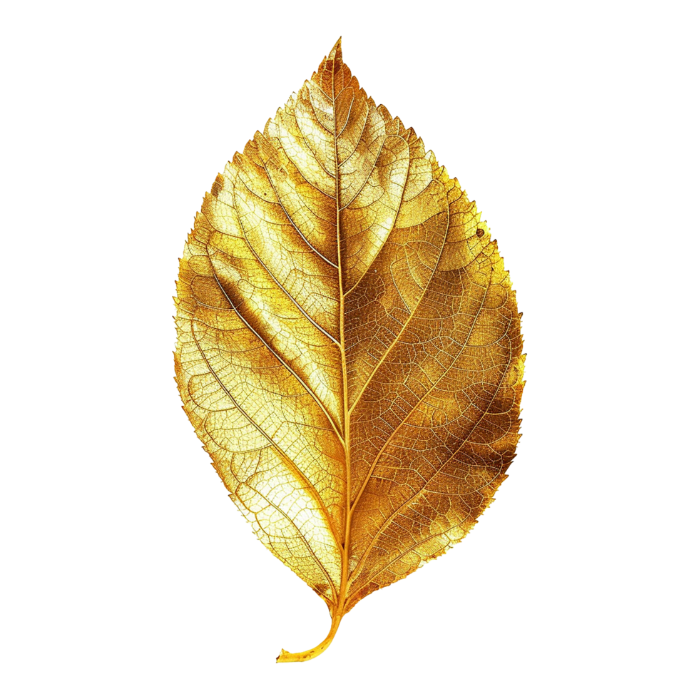 AI generated Gold leaf isolated on a transparent background png