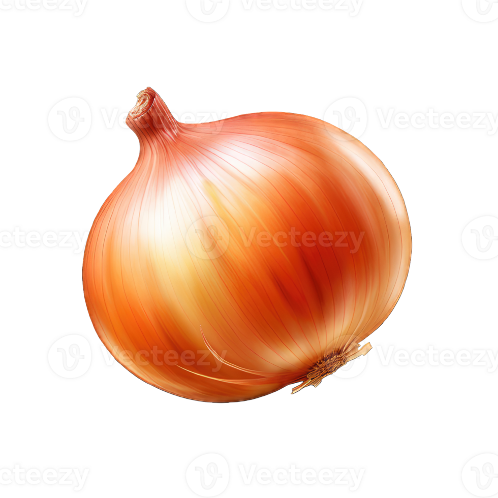 AI generated Onion Studio Shot Isolated on transparent Background Food Photography PNG