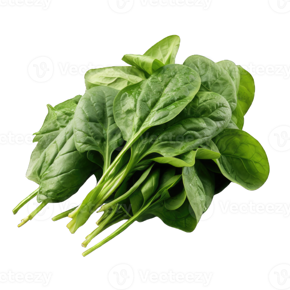 AI generated spinach Studio Shot Isolated on transparent Background, Food Photography, png