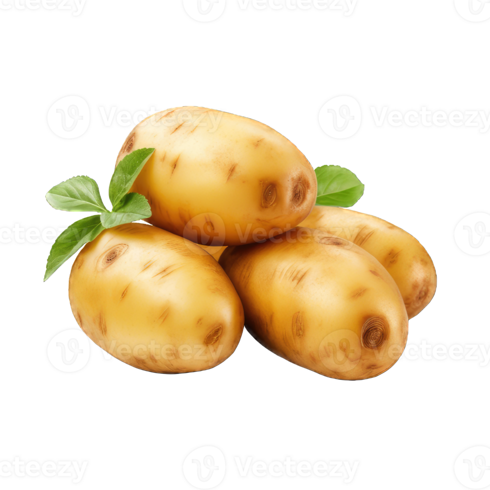 AI generated Potato Studio Shot Isolated on Transparent Background, Food Photography png