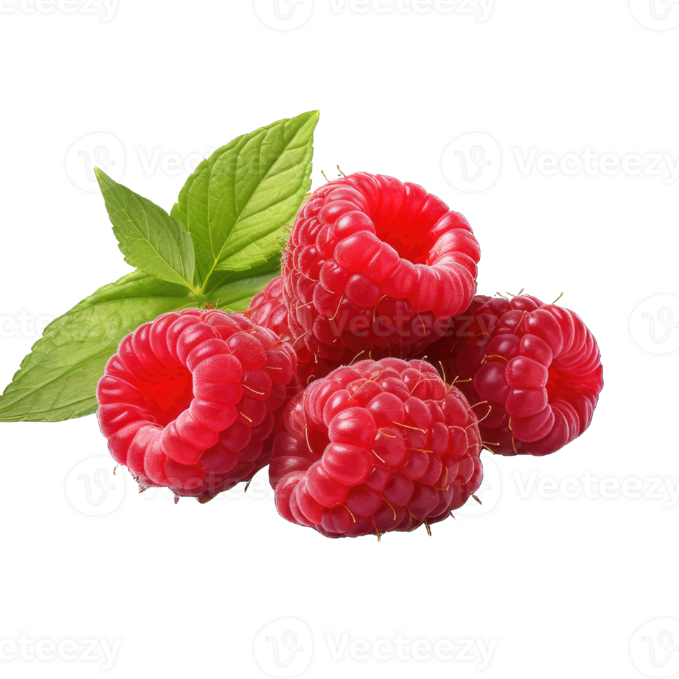 AI generated Raspberry Studio Shot Isolated on transparent Background, Food Photography, png
