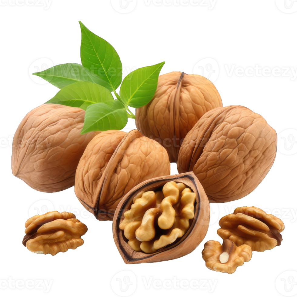 AI generated Walnut Studio Shot Isolated on transparent Background, Food Photography, png