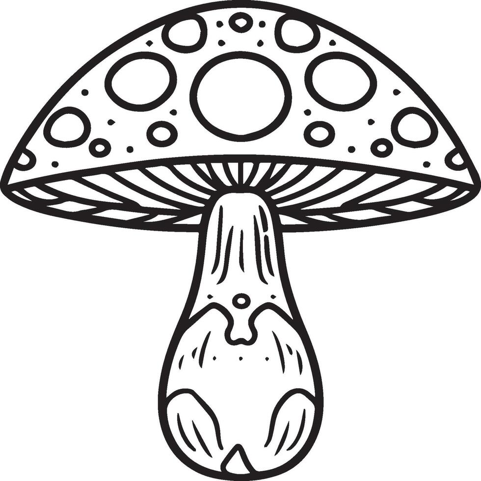 Mushroom coloring pages. Mushroom outline vector for coloring book