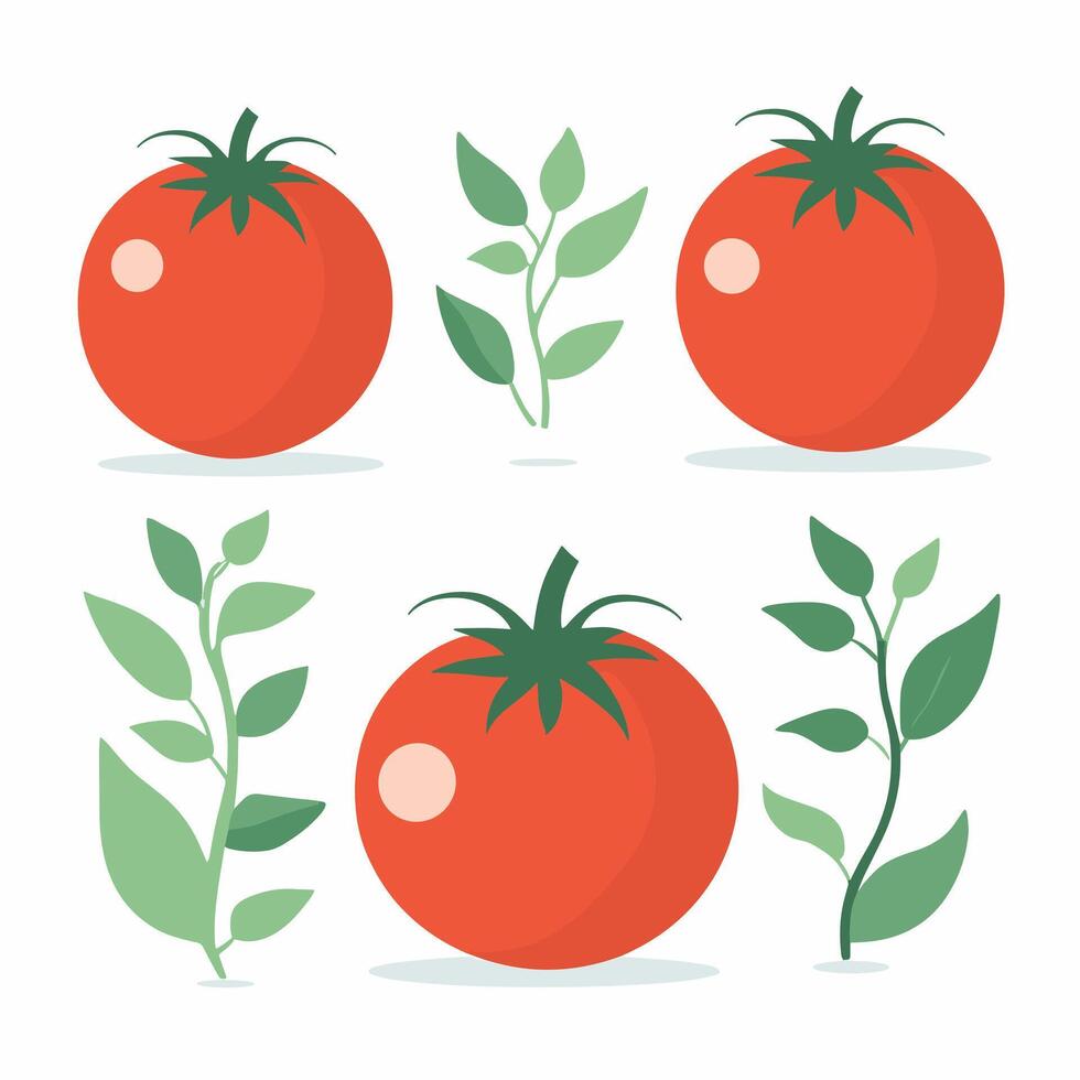 tomate acortar Arte vector ilustración