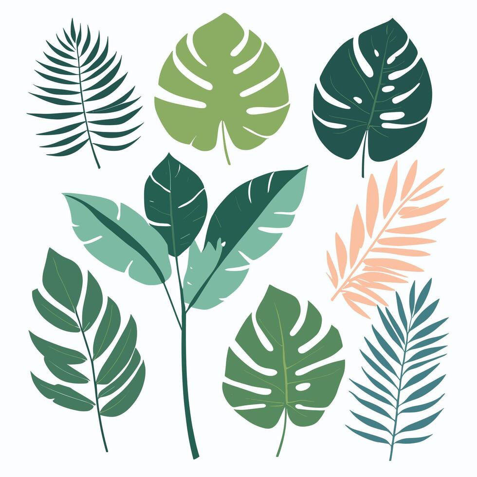 Exotic leaves set vector collection