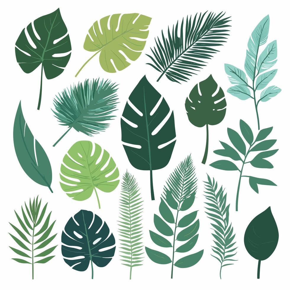 Exotic leaves set vector collection