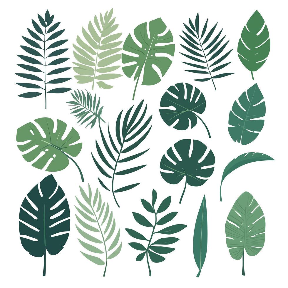 Exotic leaves set vector collection