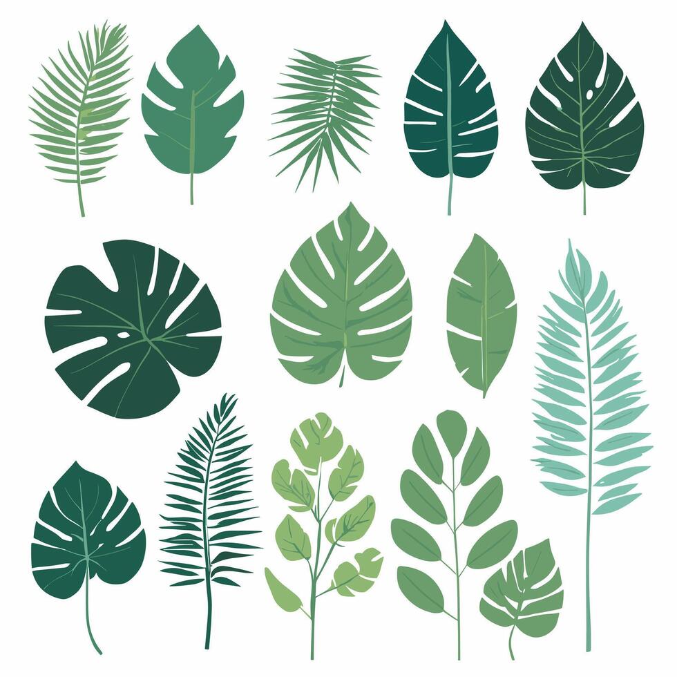 Exotic leaves set vector collection