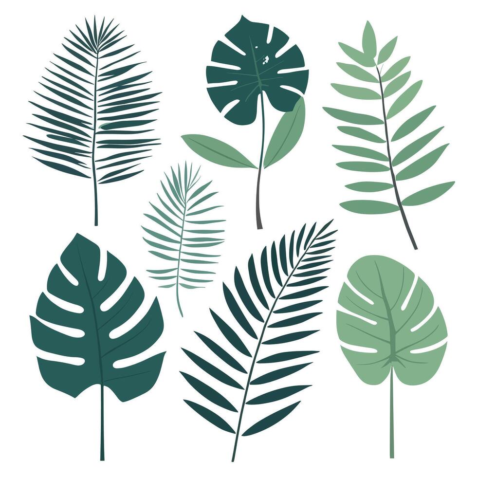 Exotic leaves set vector collection