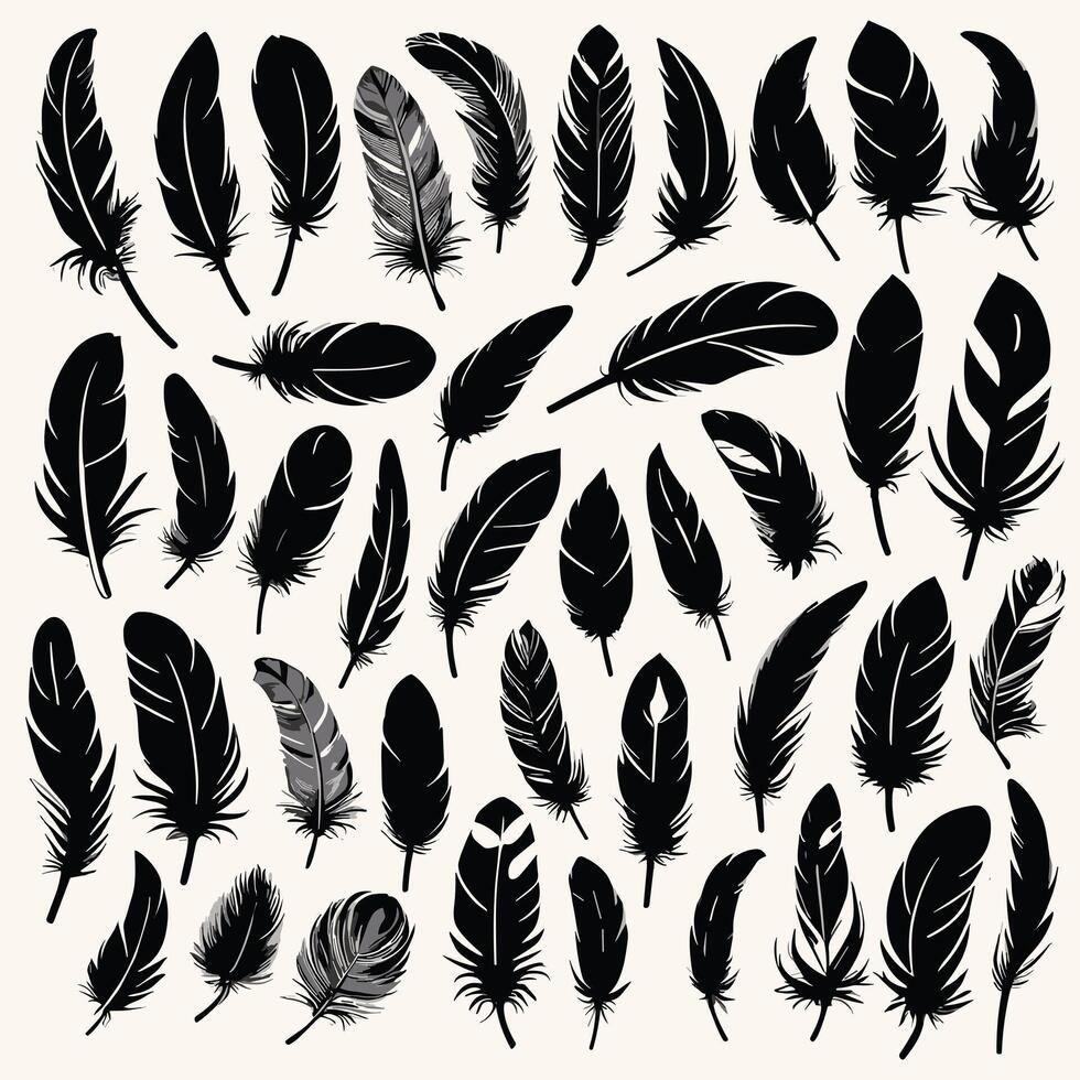 Feather silhouette illustration ink drawing vector art