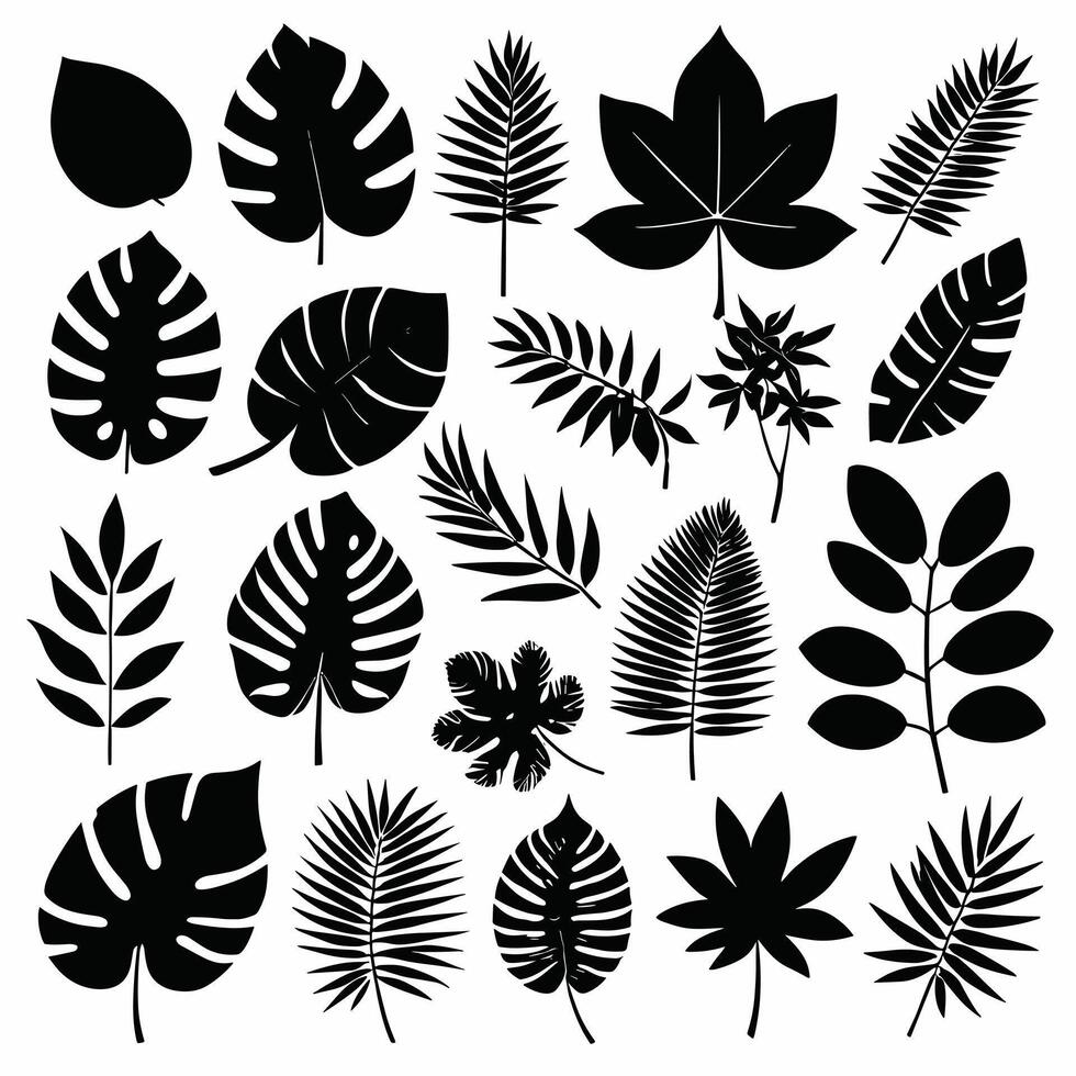 exótico hojas silueta conjunto vector colección