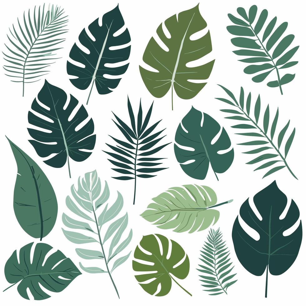 Exotic leaves set vector collection
