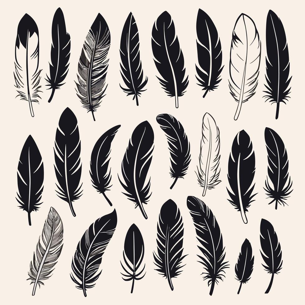 Feather silhouette illustration ink drawing vector art