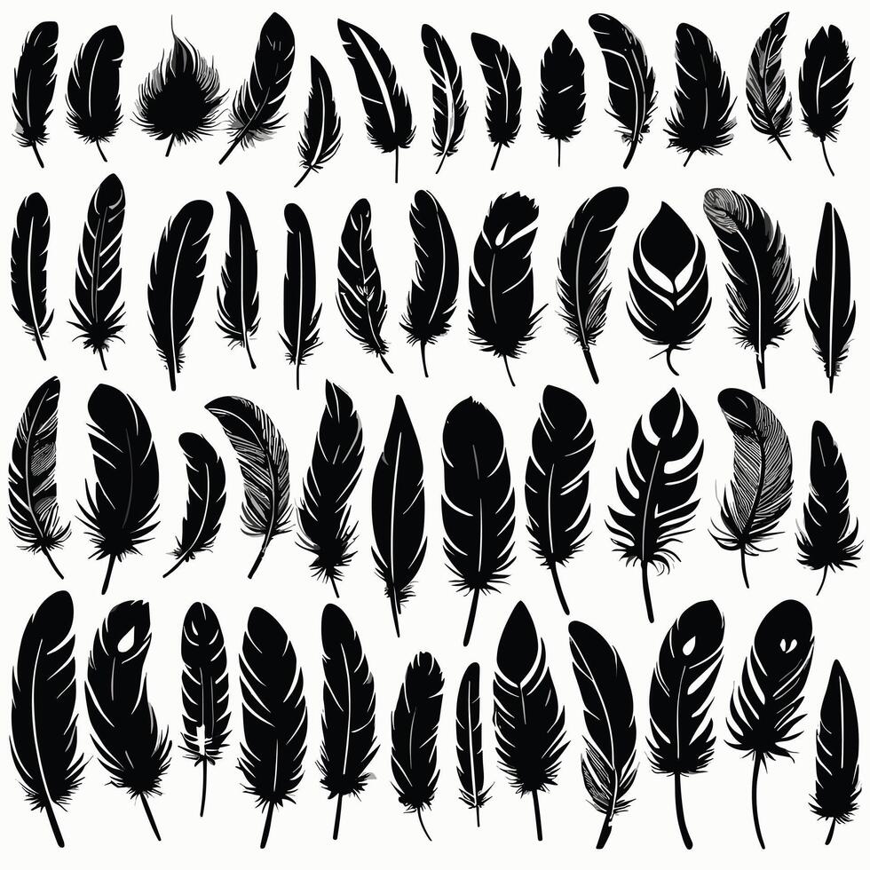 Feather silhouette illustration ink drawing vector art