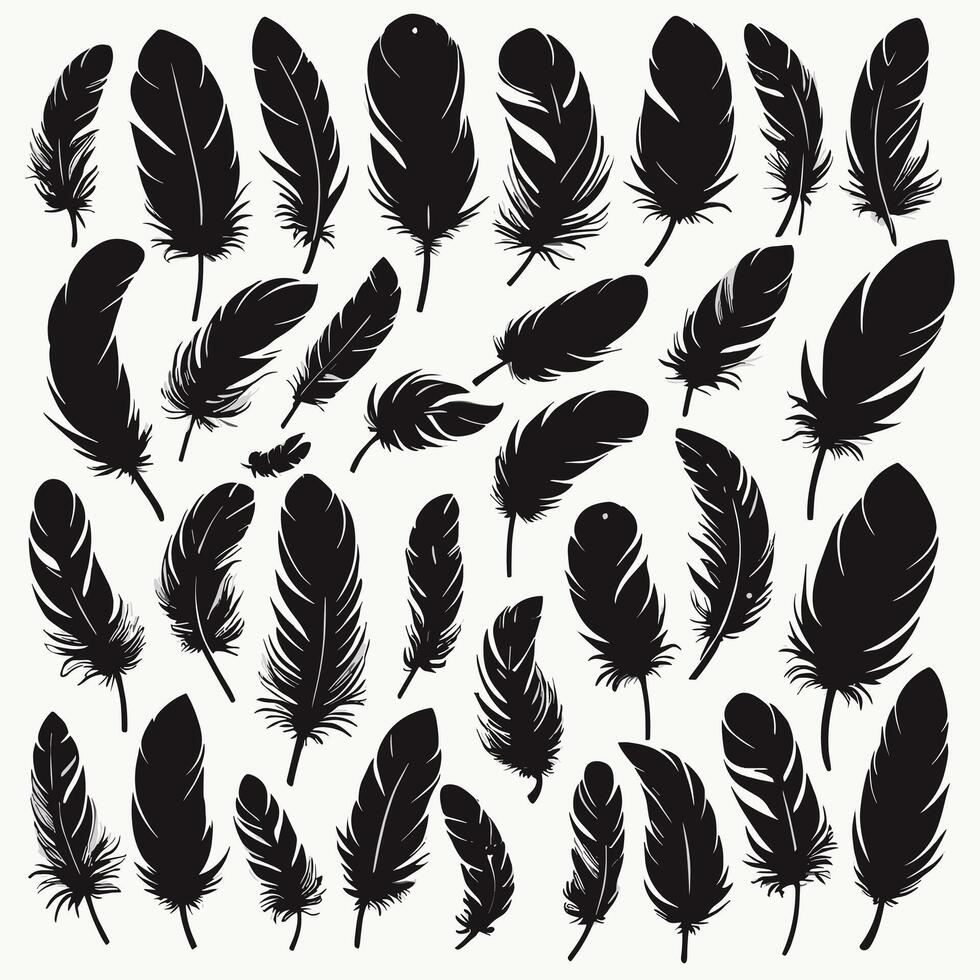 Feather silhouette illustration ink drawing vector art