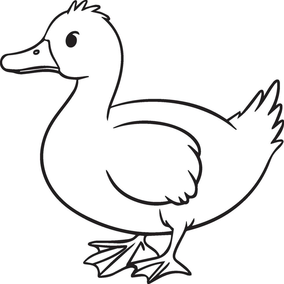 Duck coloring pages. Duck outline vector for coloring book