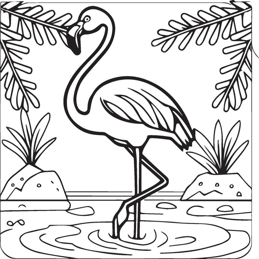 Flamingo coloring pages. Flamingo outline vector for coloring book