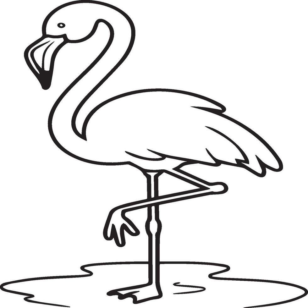 Flamingo coloring pages. Flamingo outline vector for coloring book