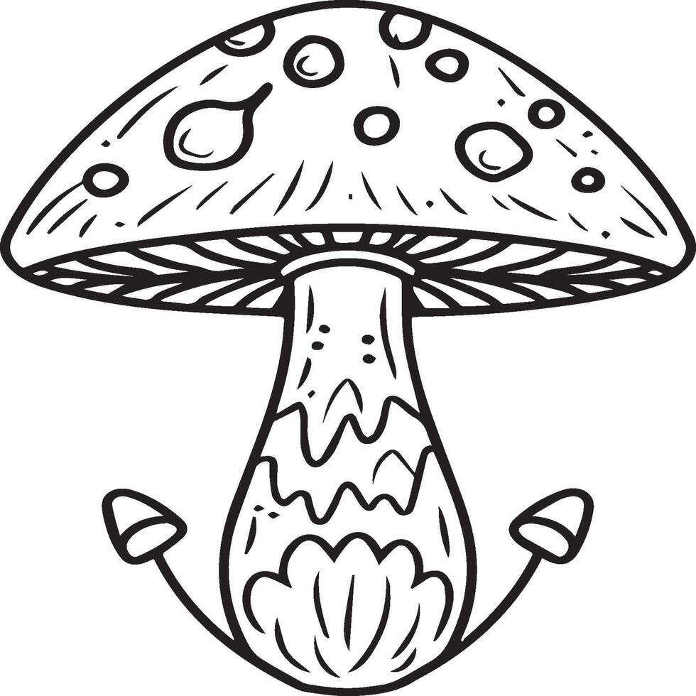 Mushroom coloring pages. Mushroom outline vector for coloring book