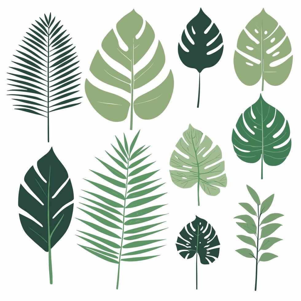 Exotic leaves set vector collection