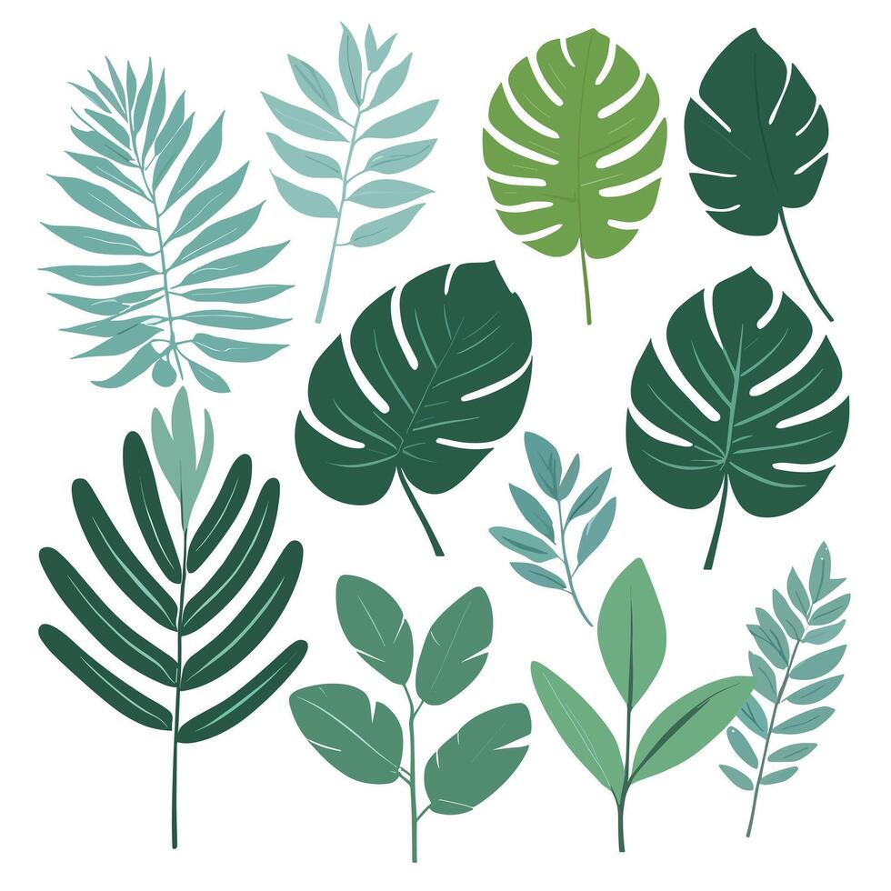 Exotic leaves set vector collection