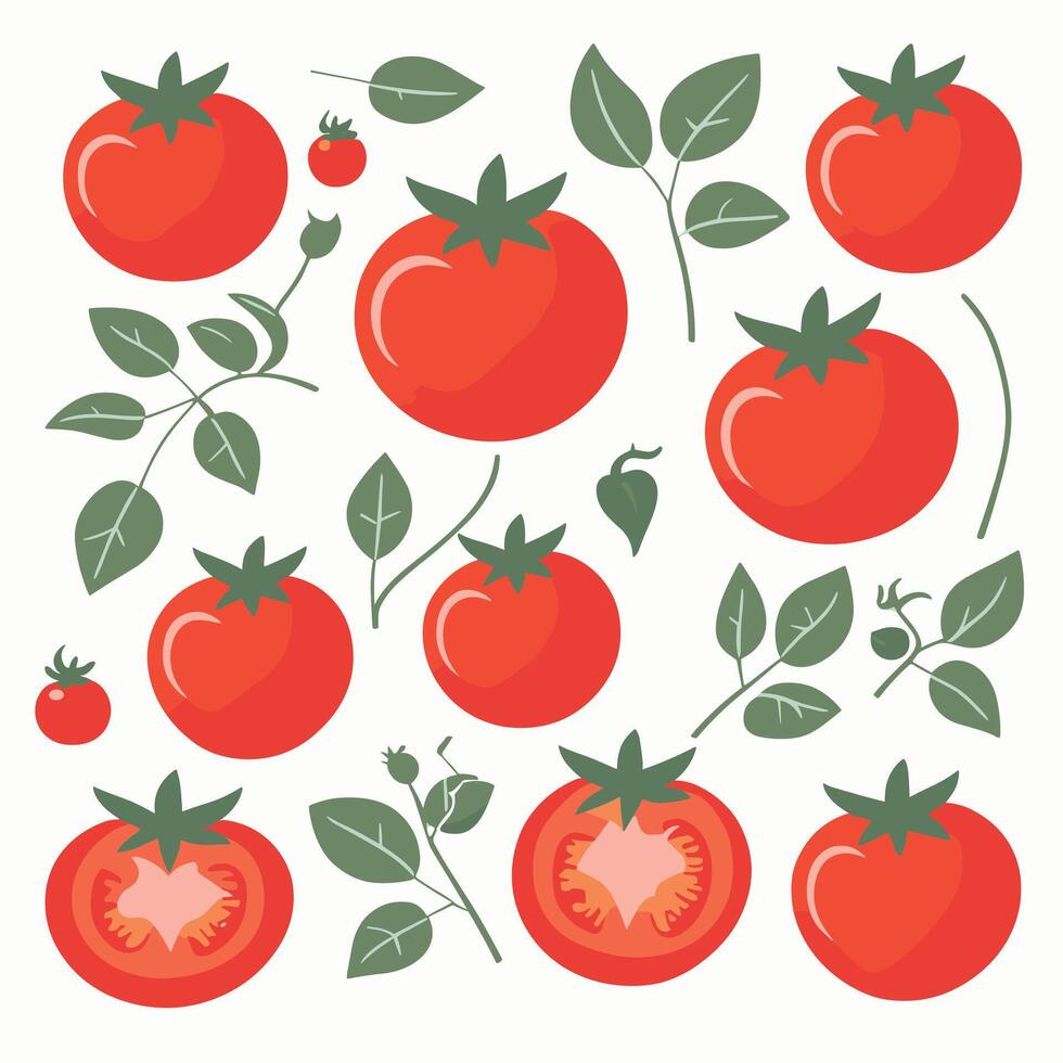 tomate acortar Arte vector ilustración