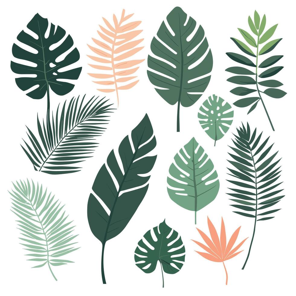 Exotic leaves set vector collection