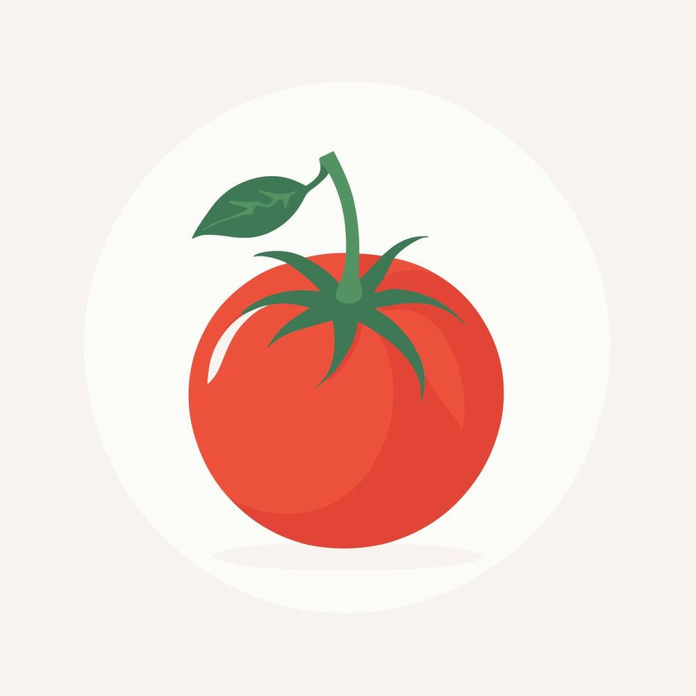 Tomato clip art vector illustration