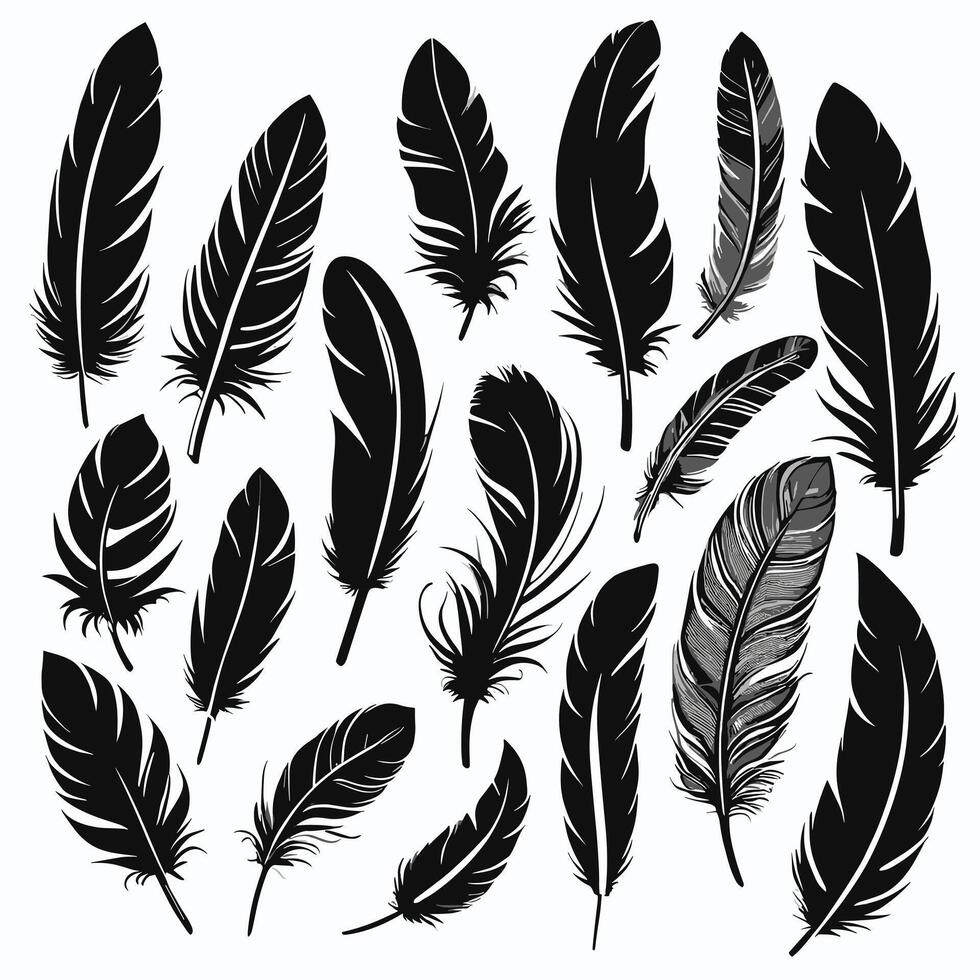 Feather silhouette illustration ink drawing vector art
