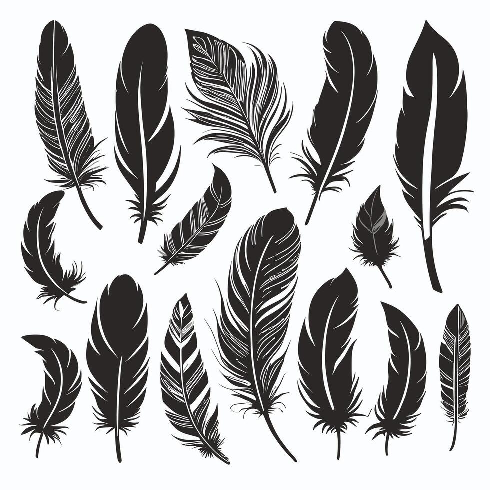 Feather silhouette illustration ink drawing vector art