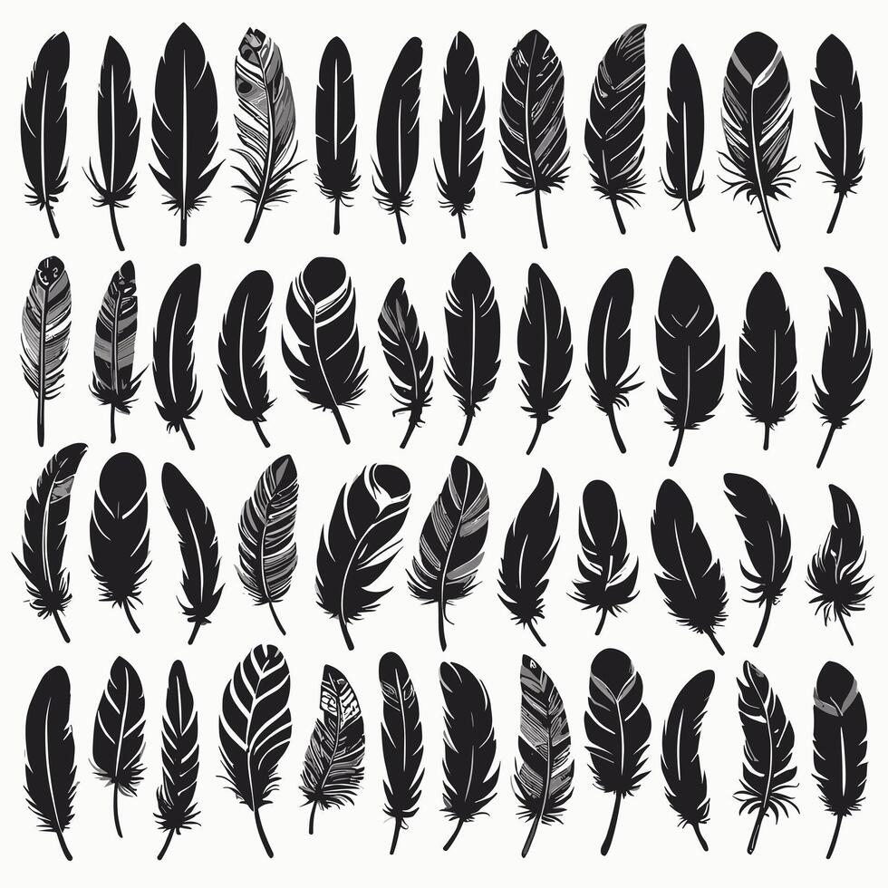 Feather silhouette illustration ink drawing vector art