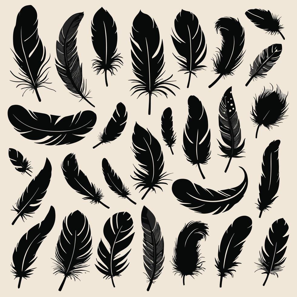 Feather silhouette illustration ink drawing vector art