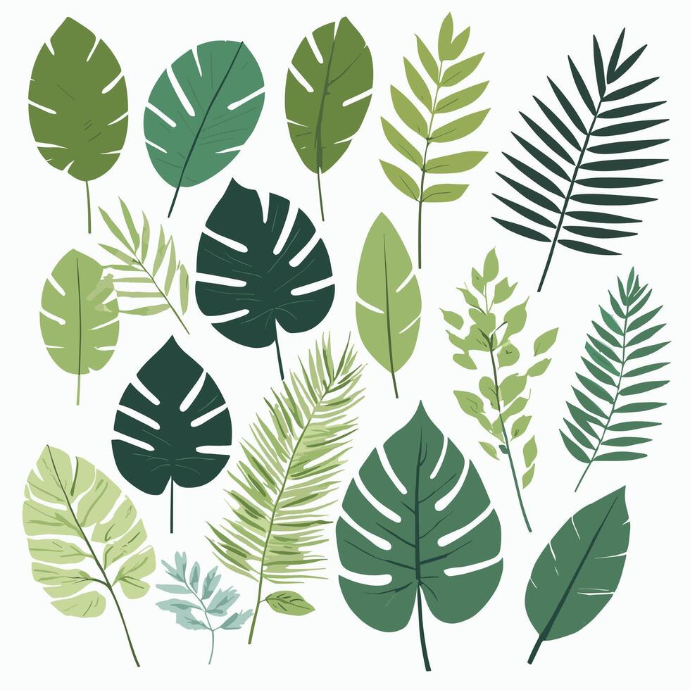 Exotic leaves set vector collection