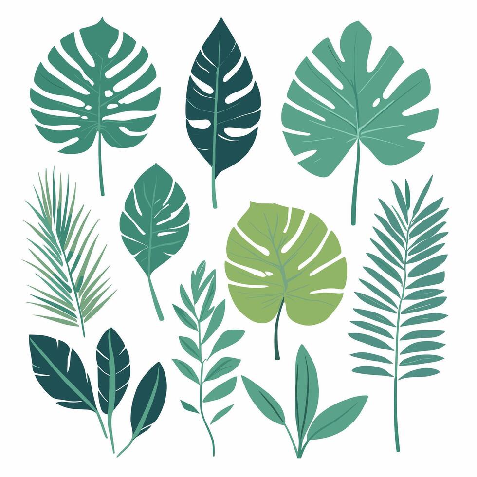 Exotic leaves set vector collection