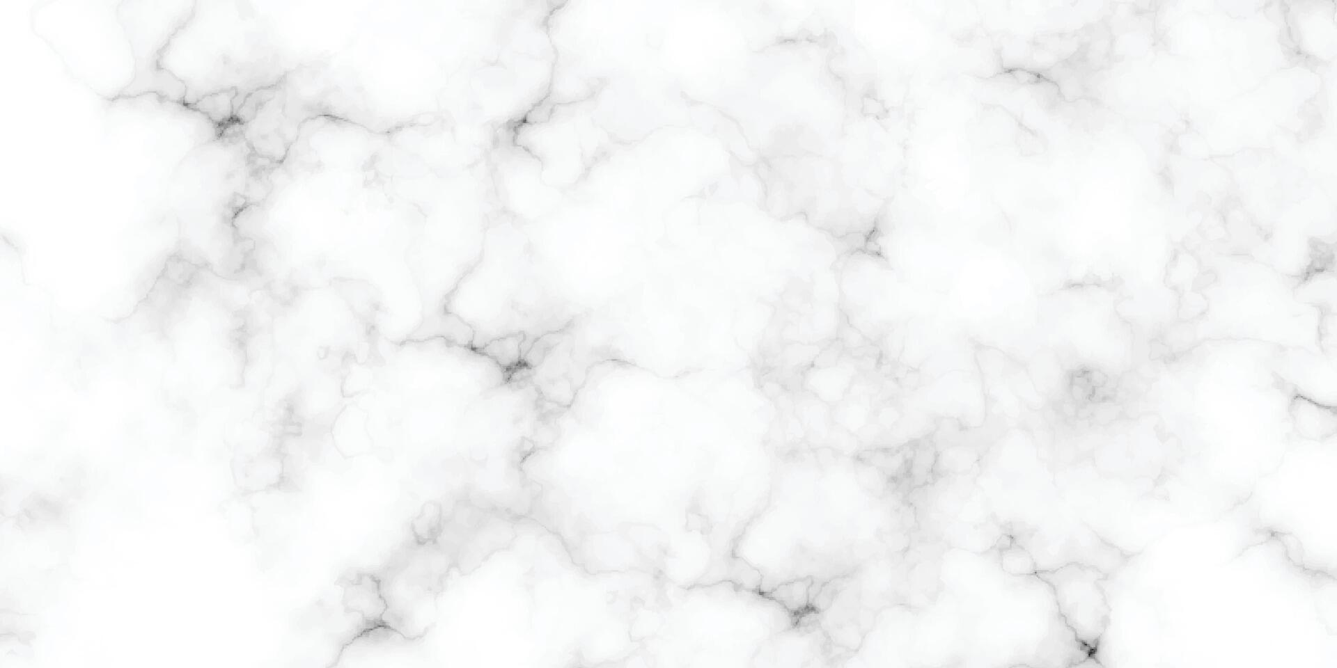 Marble floor tiles texture. Abstract black wave cracke on white background. vector