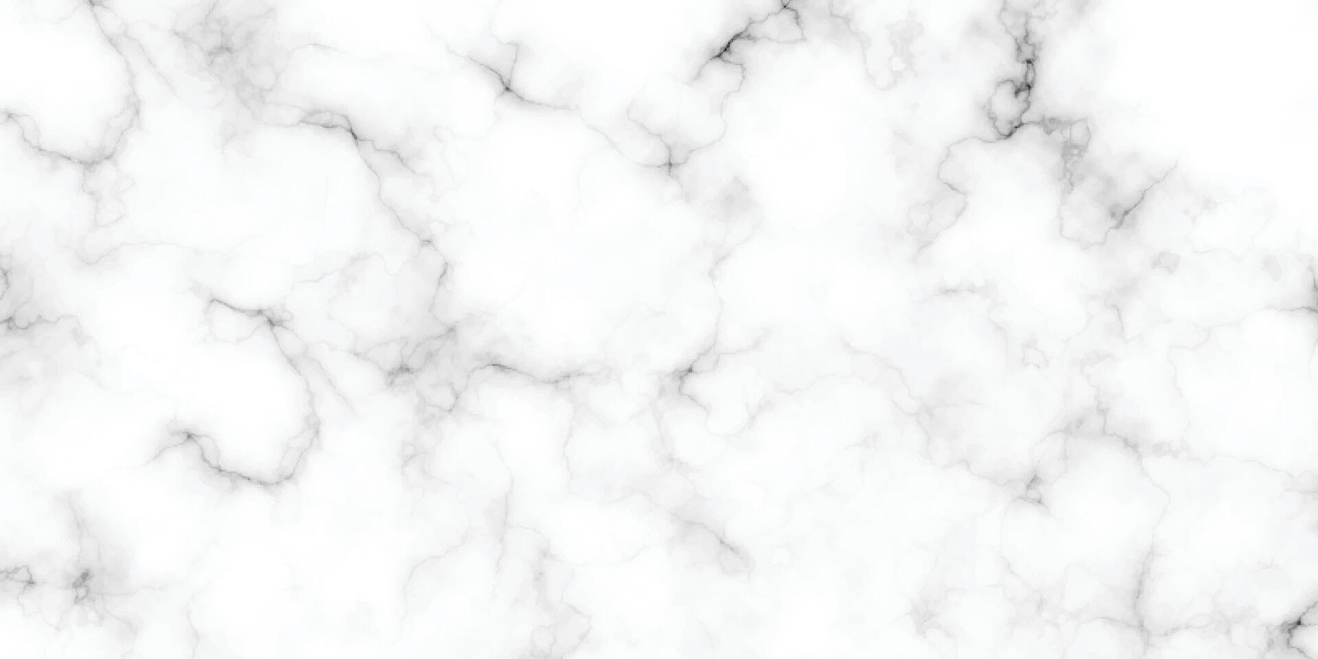 Natural white marble texture. Abstract floor tiles pattern texture background. vector
